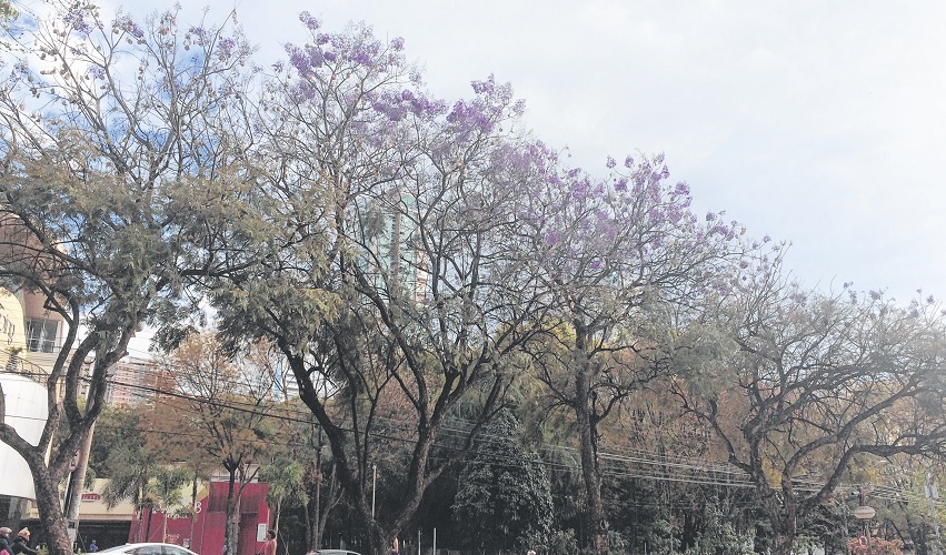 Hoje é dia de parque