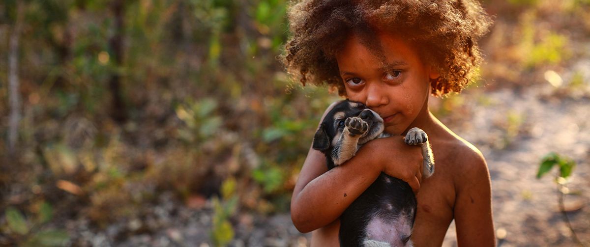 Do Brasil e sobre o Brasil: 5 documentários disponíveis na Netflix