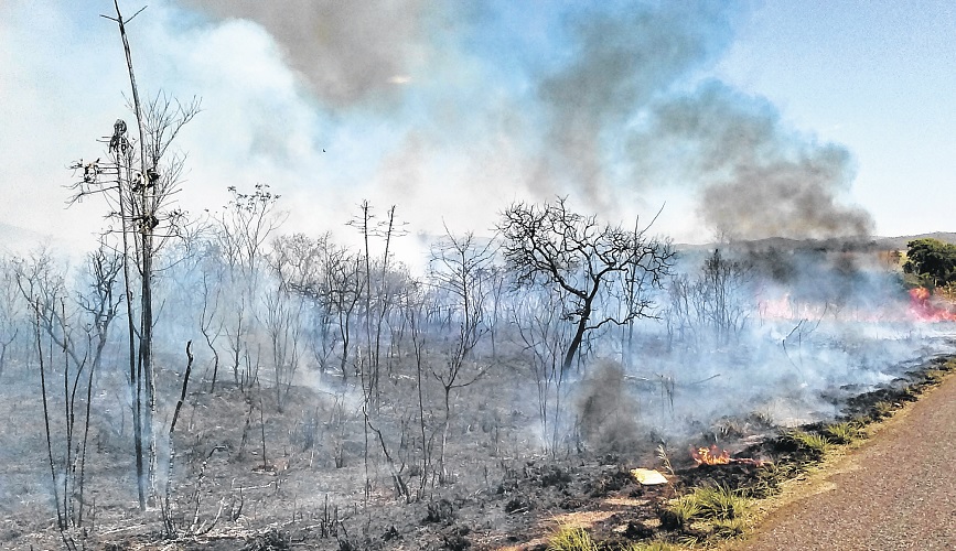 Aumenta em 11% queimadas no cerrado goiano