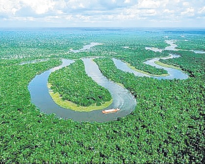 A Floresta Amazônica do período glacial e da atualidade