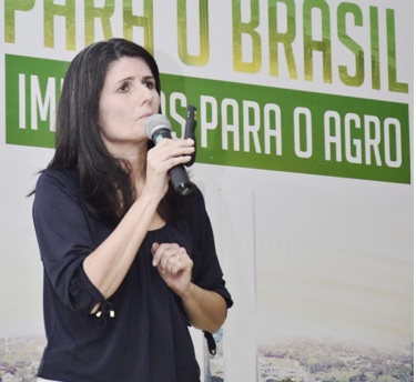 Brasil vive inferno tributário, aponta Zeina