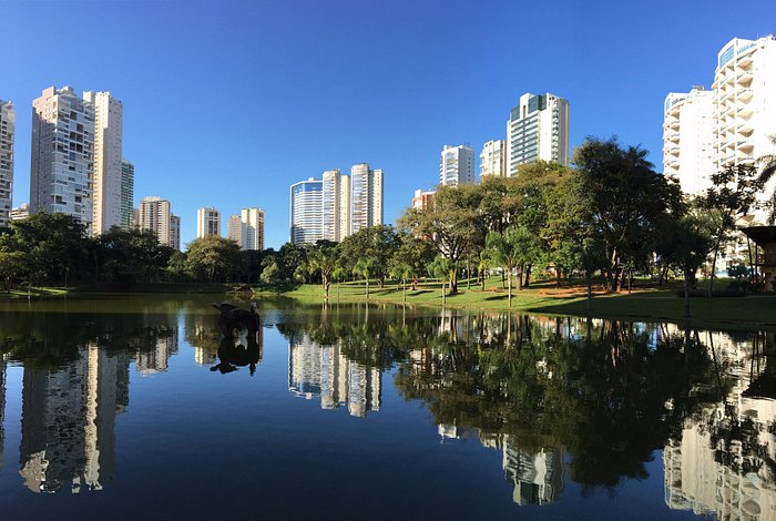 Goiânia é a cidade mais ‘rude’ do país, segundo pesquisas