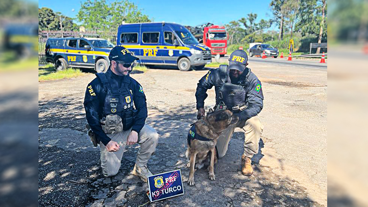 Cão farejador da PRF ganha festa com bolo de ração ao se “aposentar”