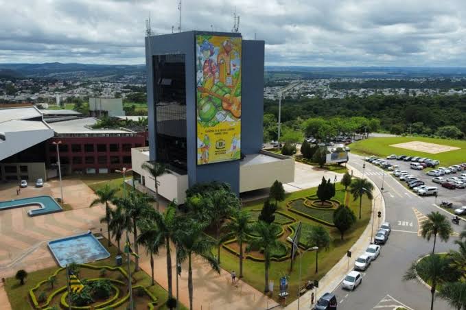 “O gato comeu?” furto de cartões de programas sociais termina em demissão de Diretora de Políticas para a Mulher de Goiânia