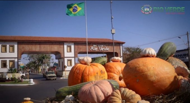 Casal acredita em fake news e tenta levar aboboras para casa