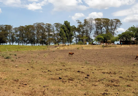 Clima ditará regras para o agronegócio em 2024