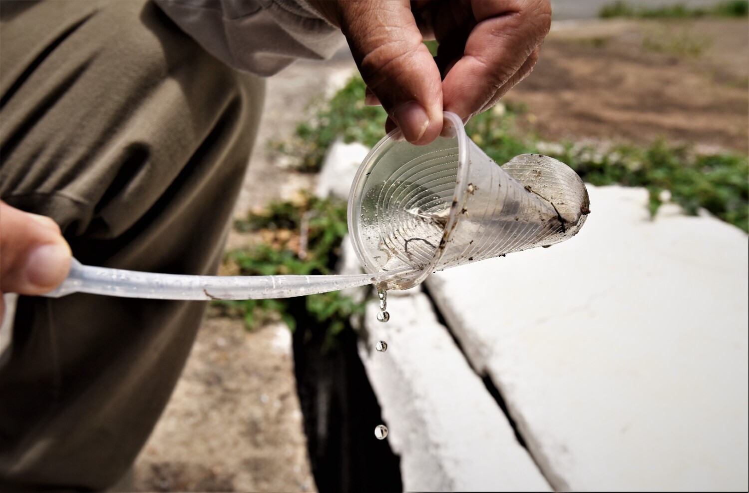 País chega a 512 mil casos prováveis de dengue e 75 mortes pela doença