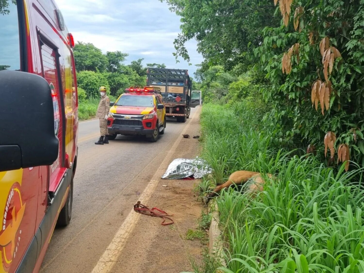 Criança de 11 anos morre atropelada por carreta