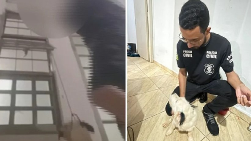 Jovem é apreendido depois de live em que enforca cachorro