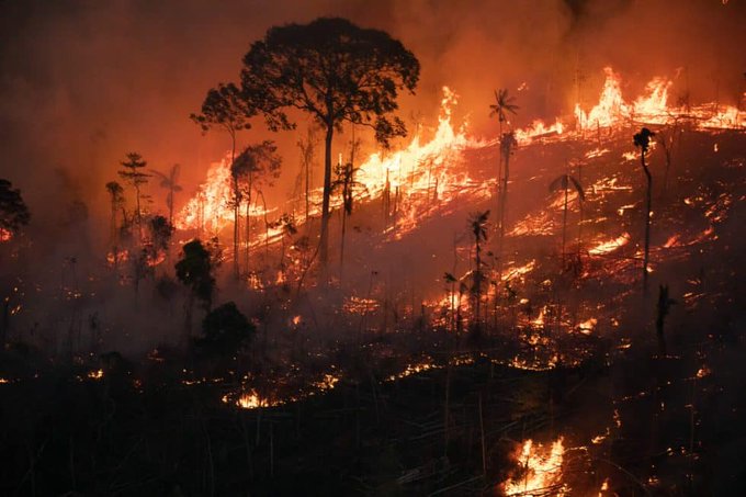 Amazônia bate recorde de queimadas em fevereiro