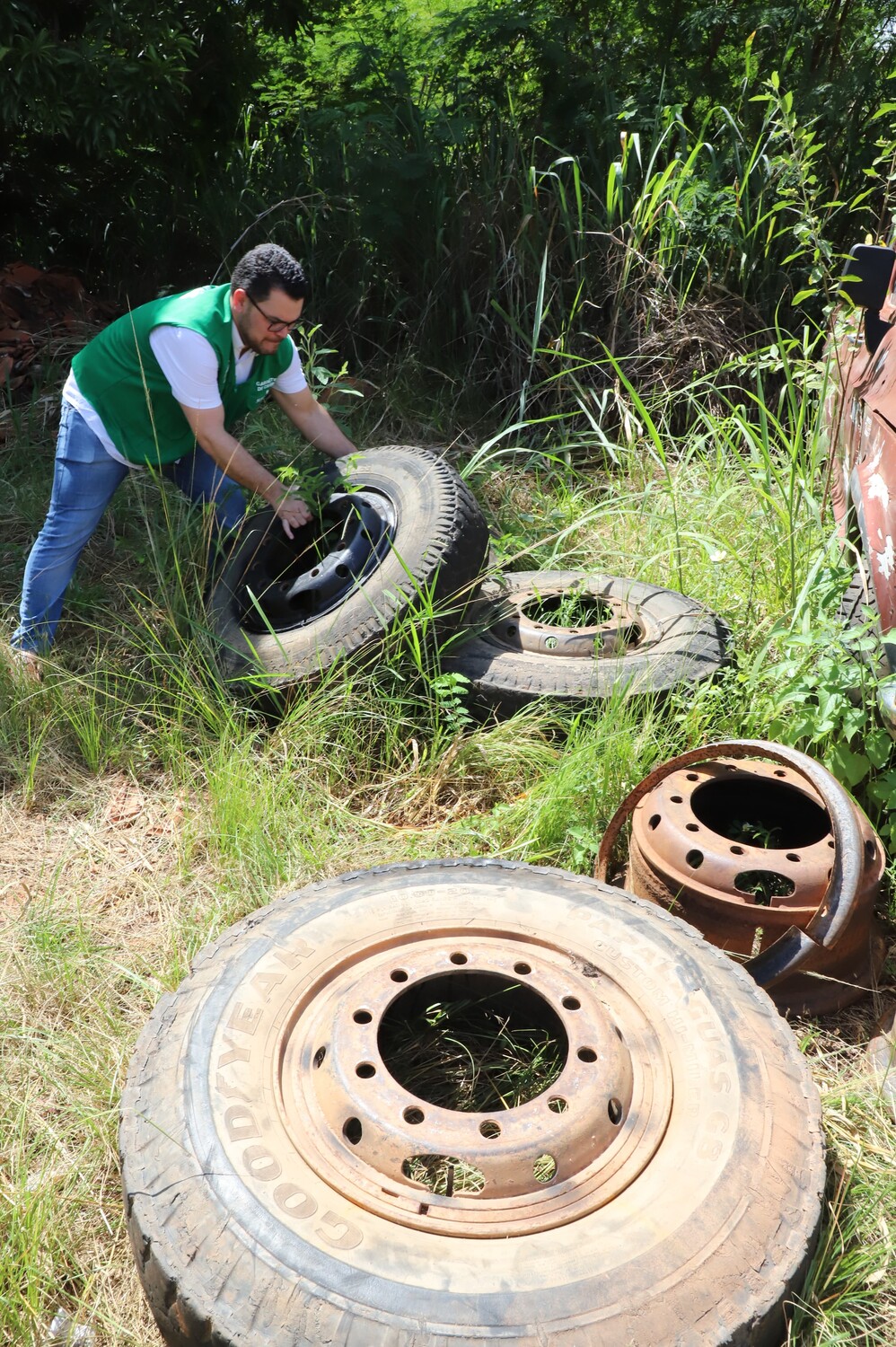 Óbitos por dengue em 2024 já superam os casos fatais de todo o ano de 2023