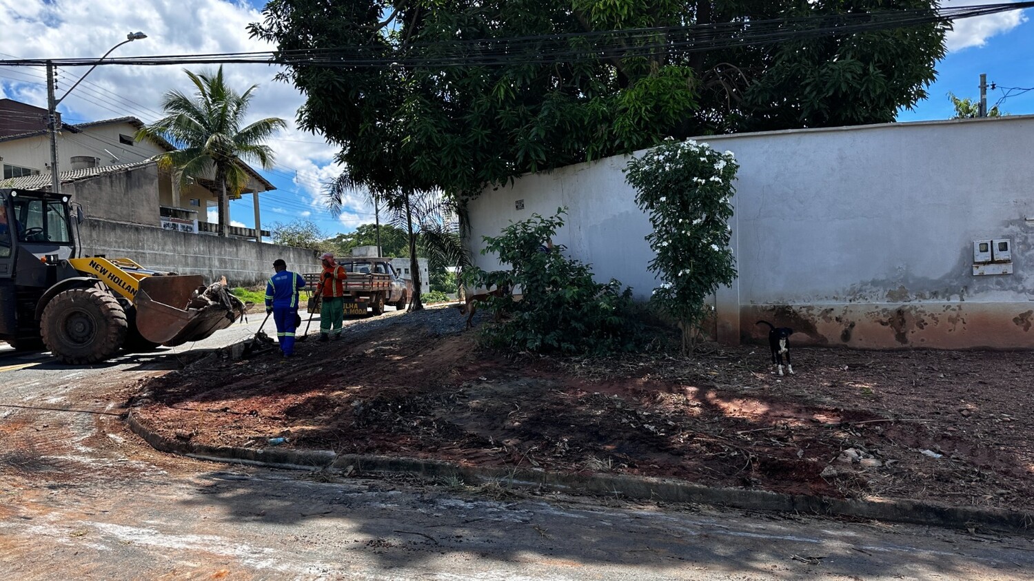 Goiânia tem 155 pontos críticos de descarte de lixo