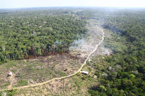 Desmatamento na amazônia cai 30,6%, com menor área devastada em 9 anos