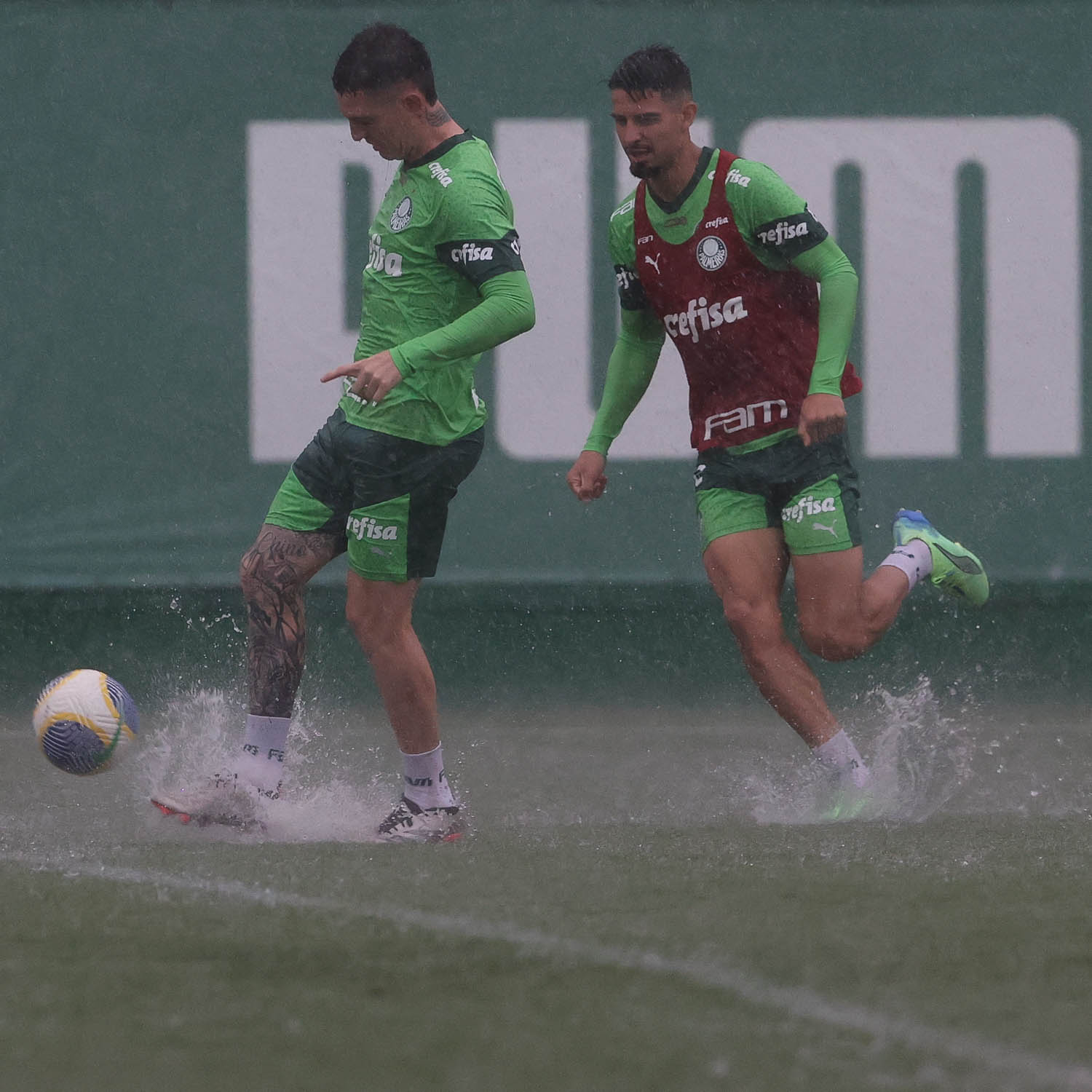 Em busca do título, Palmeiras recebe o Grêmio