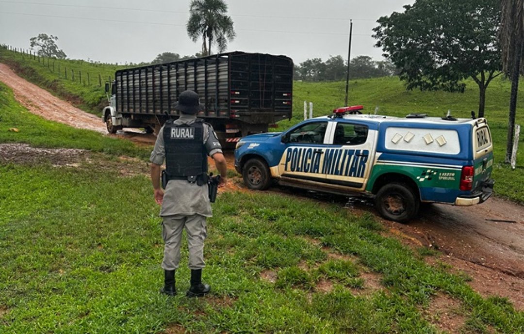 Líder de associação criminosa é preso após furtos de gados