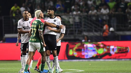 Palmeiras e Botafogo fazem jogo decisivo no Allianz Parque