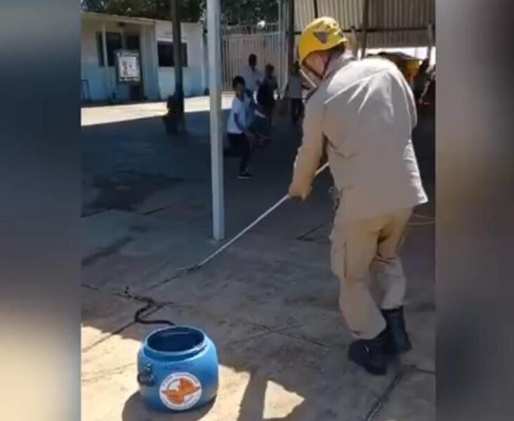 Bombeiros resgatam cobra encontrada em escola de Luziânia