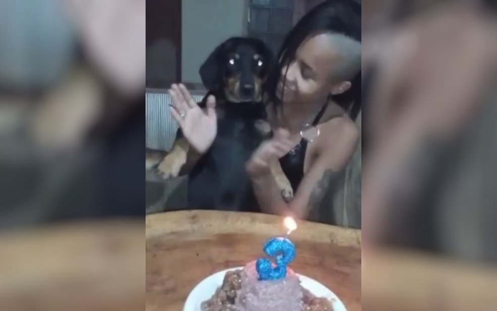 Cachorro morre ao ser atacado por outro cão