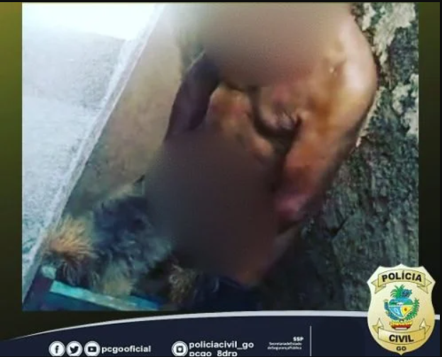 Idoso é preso após denuncia de zoofilia, em Rio Verde