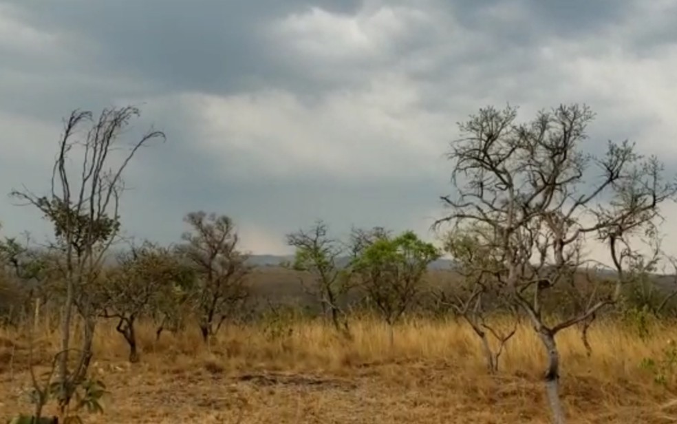 Chuva ajuda a apagar fogo na Chapada dos Veadeiros