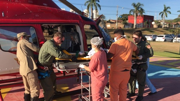 Bebê de um ano é atacado por pit bull, em Goiânia