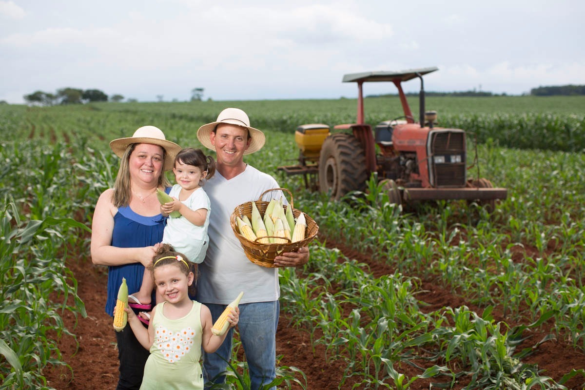 Interdependência: pequenos agricultores e indústrias de refeições coletivas impulsionam agricultura familiar num ciclo altamente sustentável