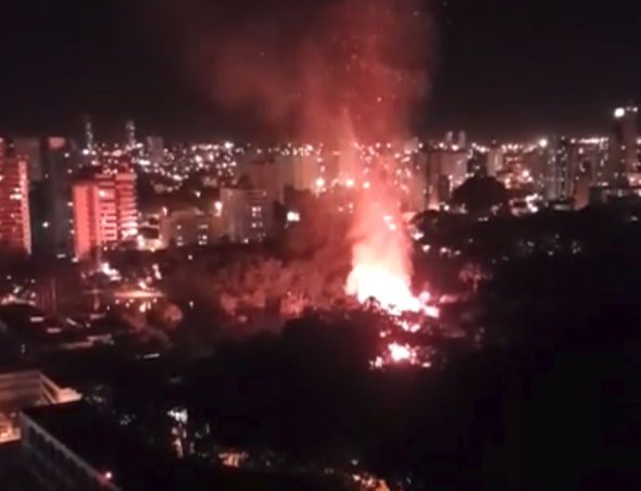 Incêndio atinge Bosque dos Buritis, em Goiânia