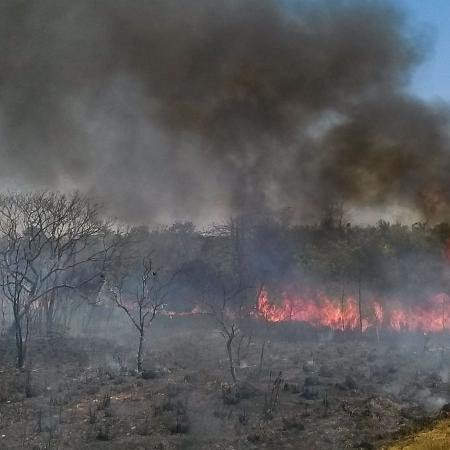 Bahia alerta emergência por  incêndios florestais