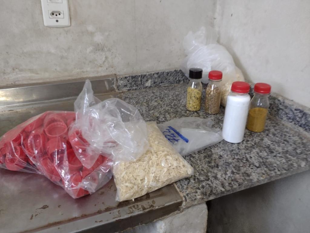 Polícia apreende mais de meia tonelada de alimentos