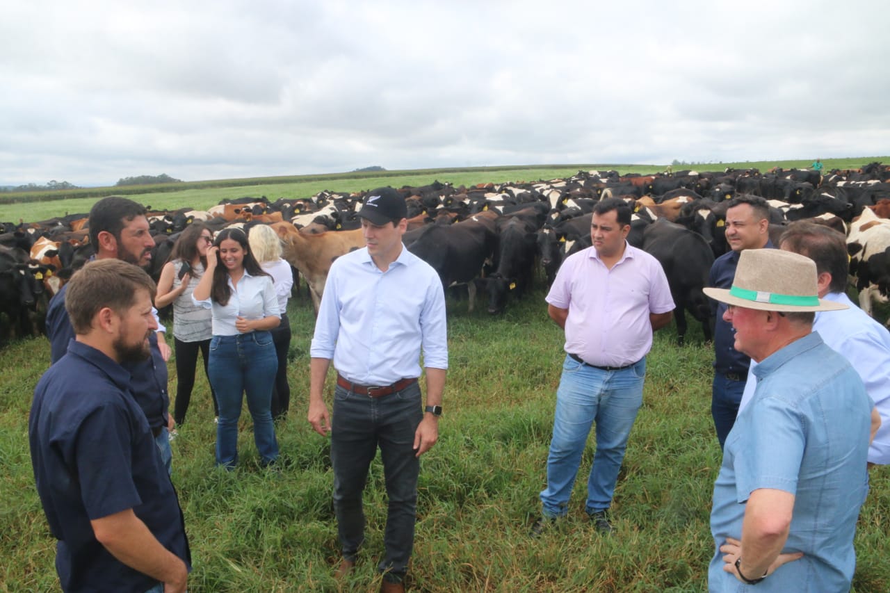 Daniel Vilela conhece maior fazenda produtora de leite de Goiás