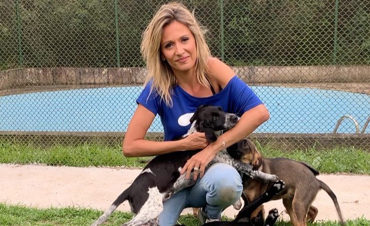 Luisa Mell revela que atropelou bandido ao resgatar cachorro ferido em comunidade