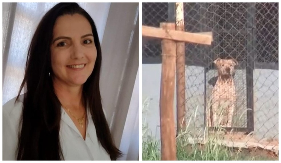 SP: Mulher que morreu após ser atacada por 6 pitbulls em uma chácara, tinha contato com cães