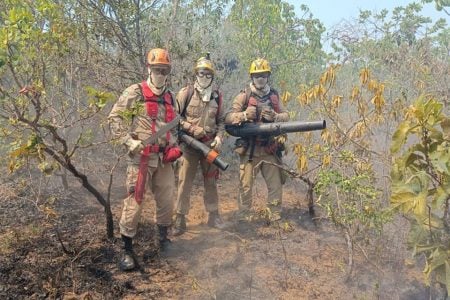 Chapada dos Veadeiros tem entre 50 km² e 60 km² de área atingida por incêndio