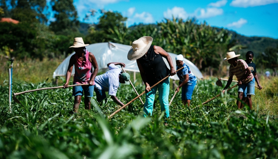 Começa amanhã novo cadastro de agricultores familiares