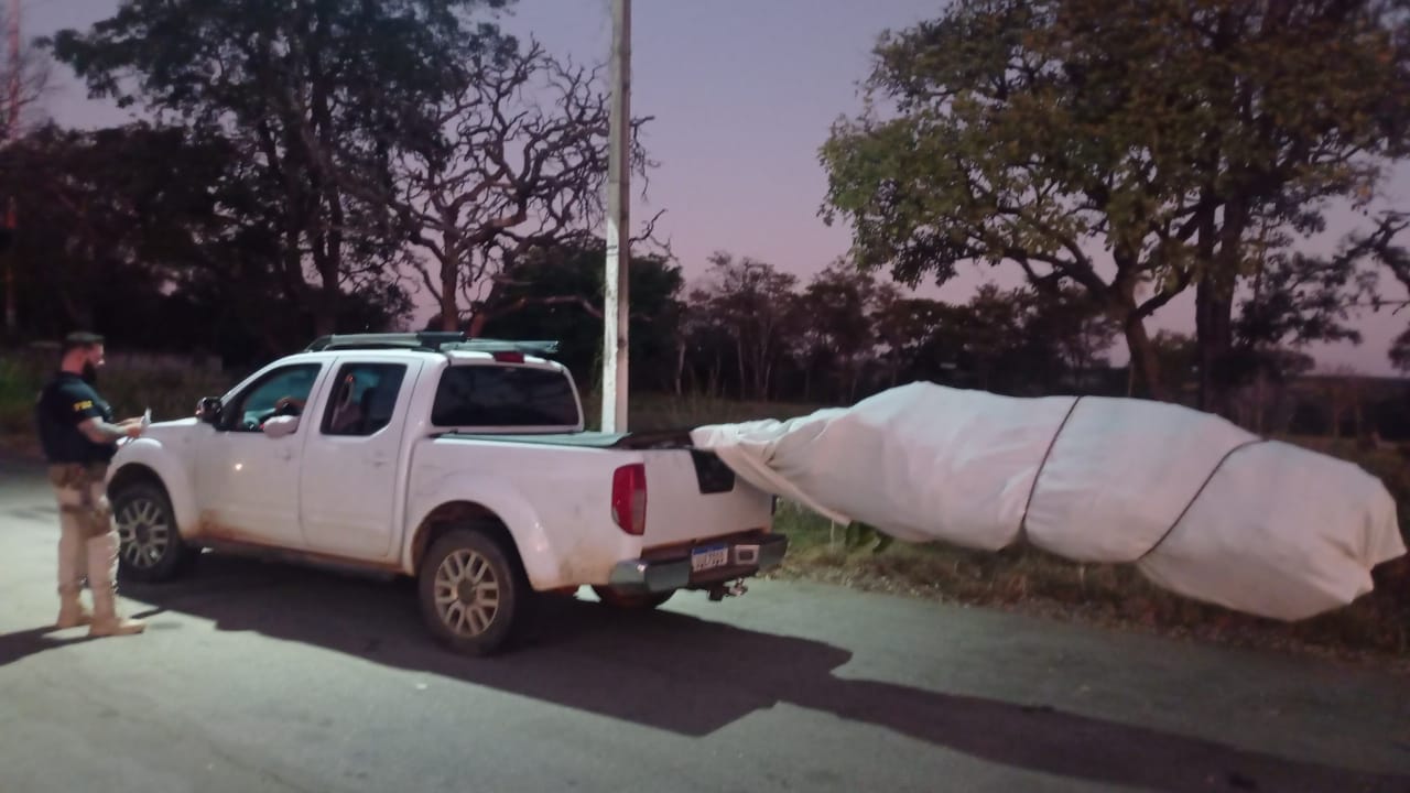 Motorista é flagrado transportando carga irregular