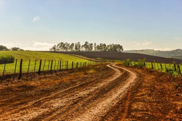 Mãe tenta processar o filho por ele não fechar porteira de sua fazenda, em Taquaral de Goiás