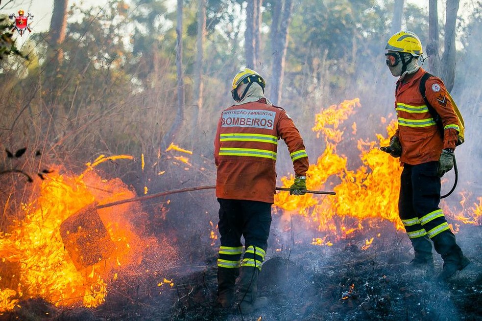 Cerrado: Dados apontam que é o bioma mais atingido por focos de incêndios florestais em 2022