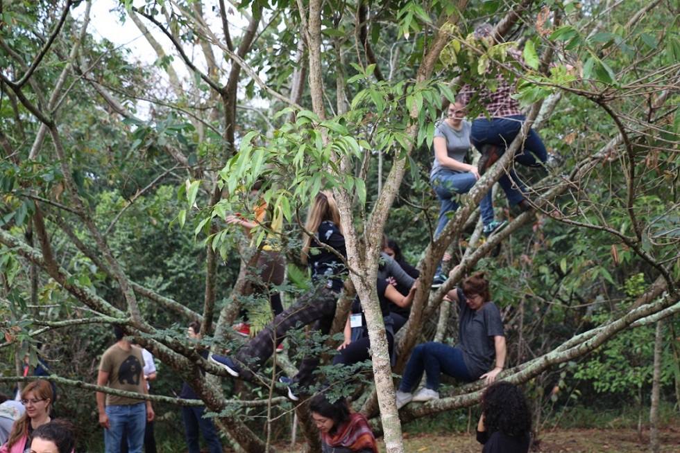 Sesc faz seminário para integrar crianças e natureza no Rio de Janeiro