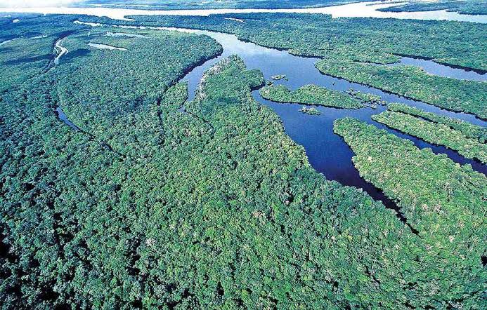 Noruega congela repasses para o Fundo da Amazônia por se opor a Bolsonaro