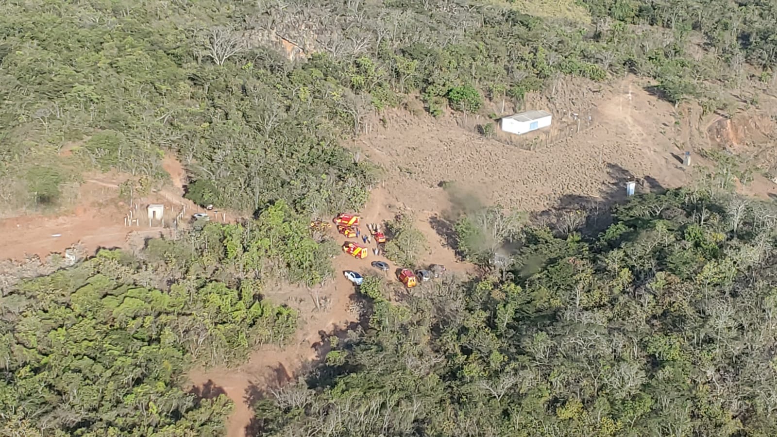 Grupo é atacado por abelhas durante trilha em mata de Hidrolândia