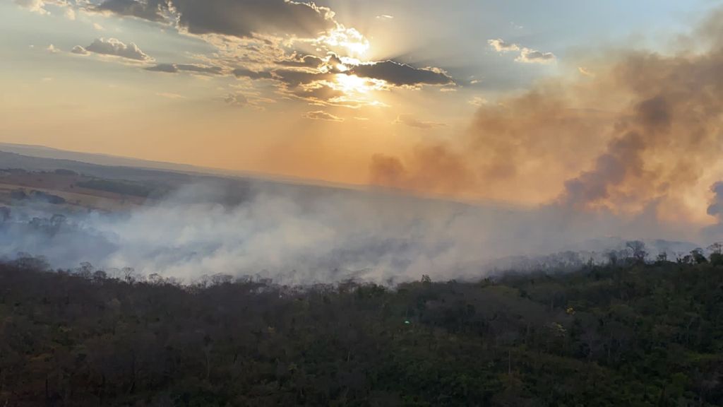 Incêndio no Parque Estadual Altamiro de Moura Pacheco