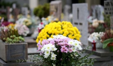 Pesquisa aponta variação de até 500% nos preços das flores para o Dia de Finados