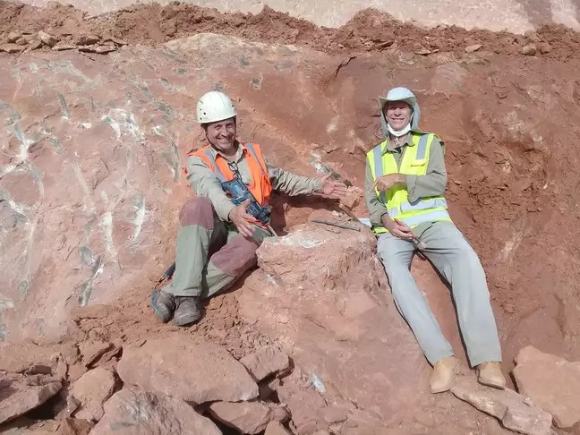 Novo fóssil de dinossauro é encontrado em obra de rodovia no interior de SP