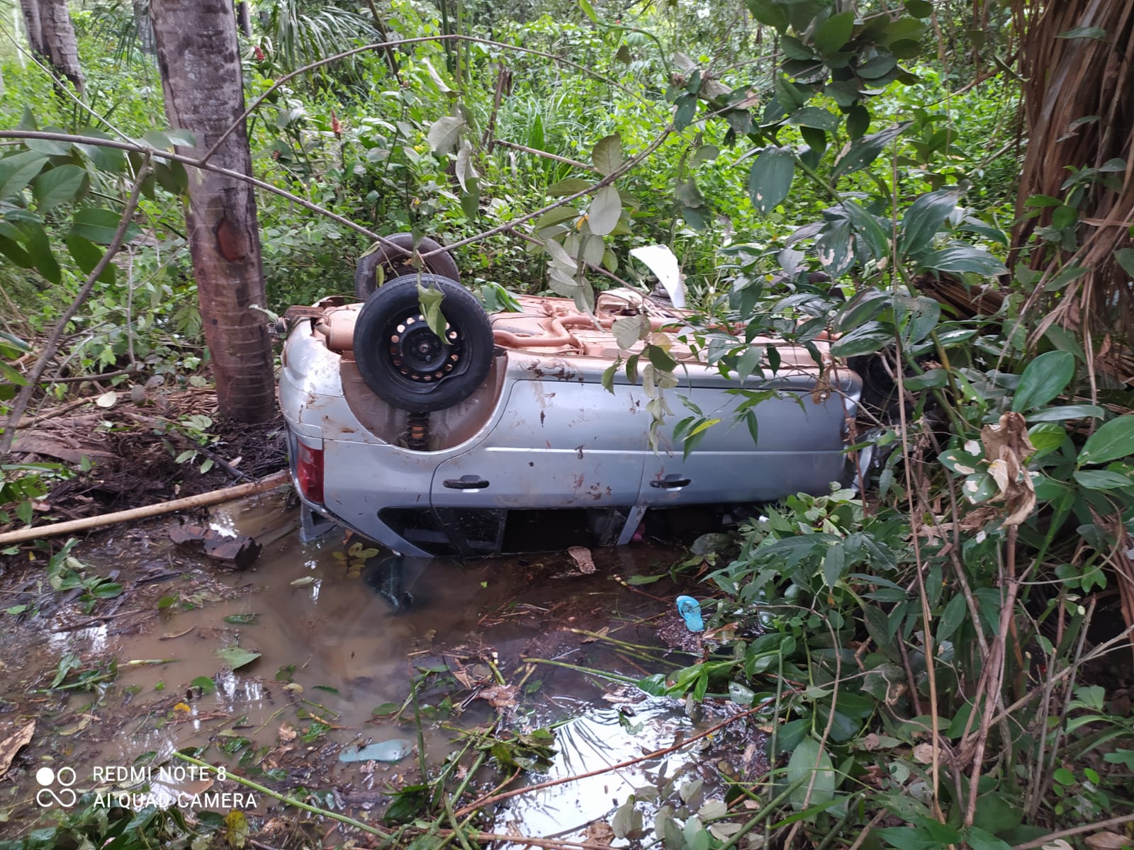 Seis crianças ficam feridas após carro capotar e cair em ribanceira