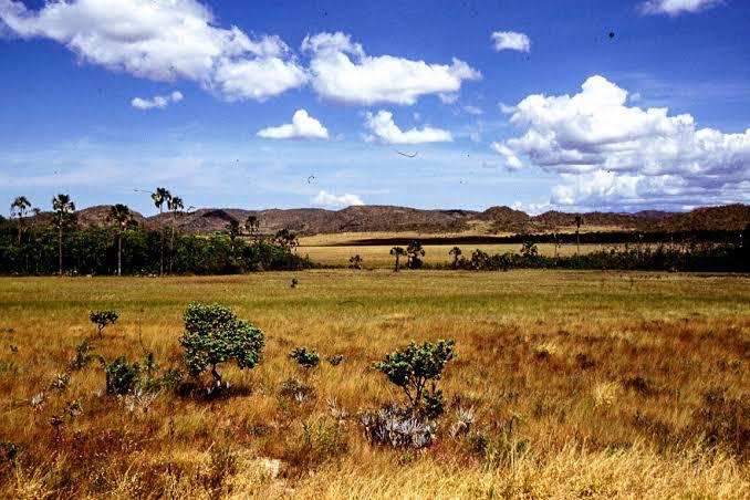 Goiás: Singularidades que você não sabia