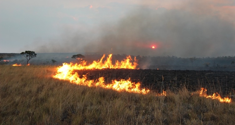 Incêndio na Chapada dos Veadeiros atinge Vale da Lua