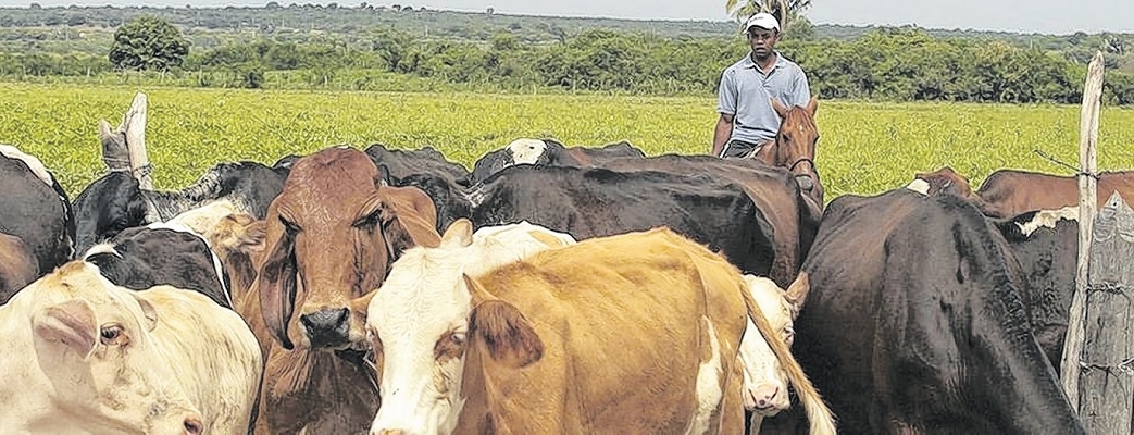 Goiás recebe ação sobre Pompe