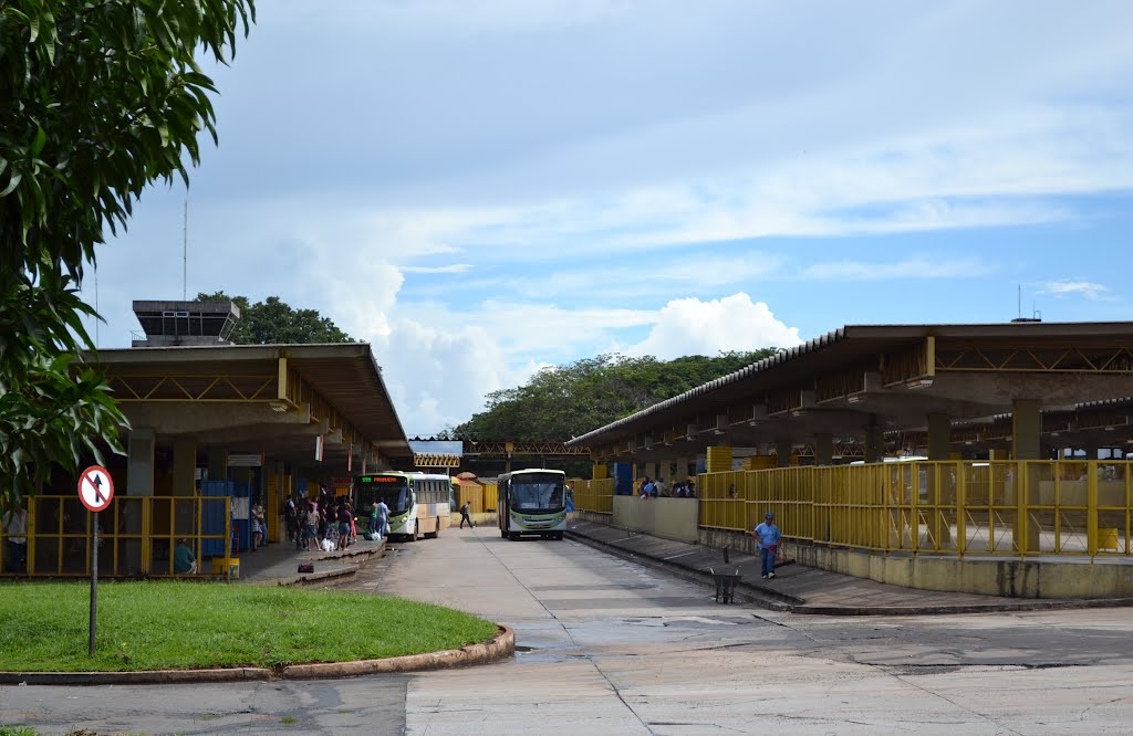 Motorista de ônibus atira em passageiro em Goiânia