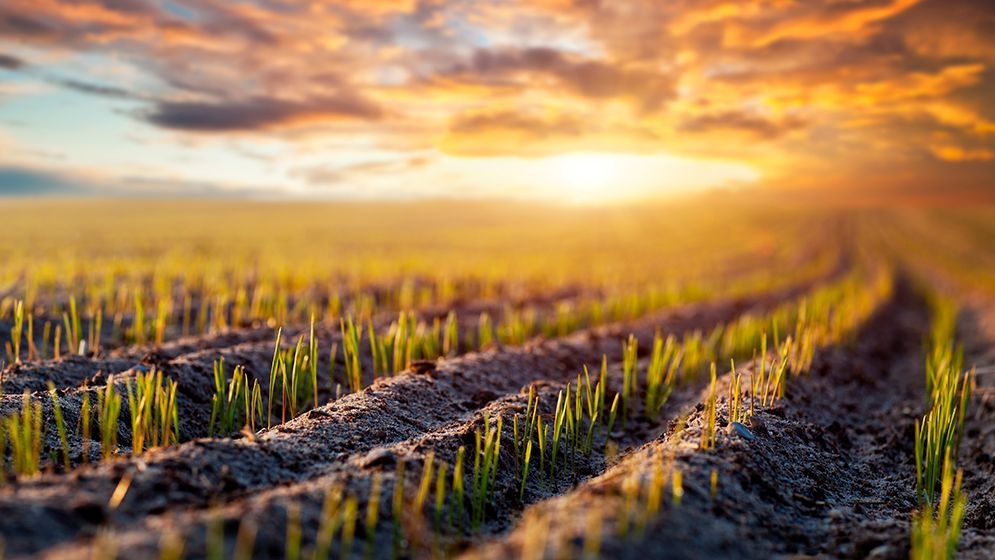 O agro sustentando a humanidade