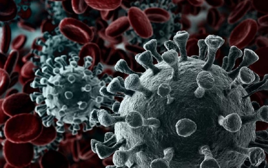 Vírus testado em laboratório da China tem 100% de mortalidade